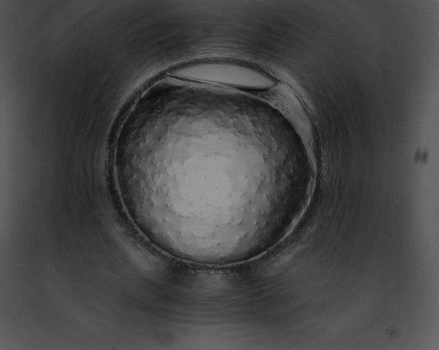 X0000091490439200708301939