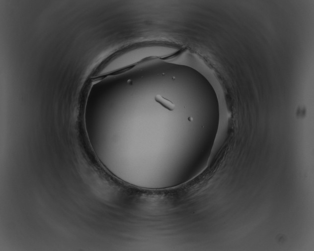 X0000091490440200708301939