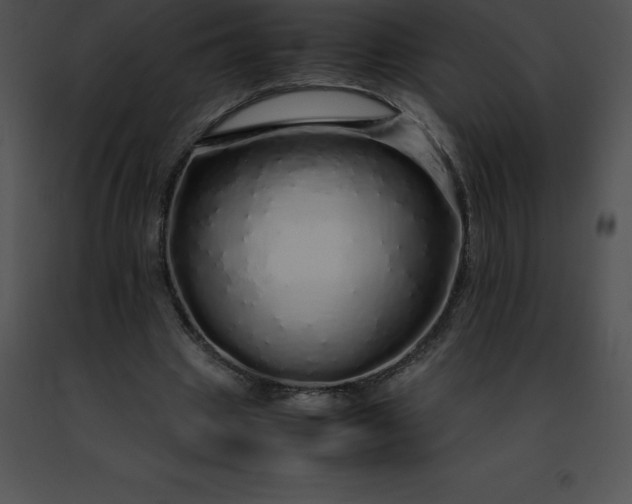 X0000091490441200708301939