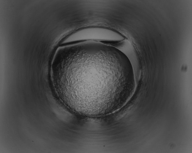 X0000091490442200708301939