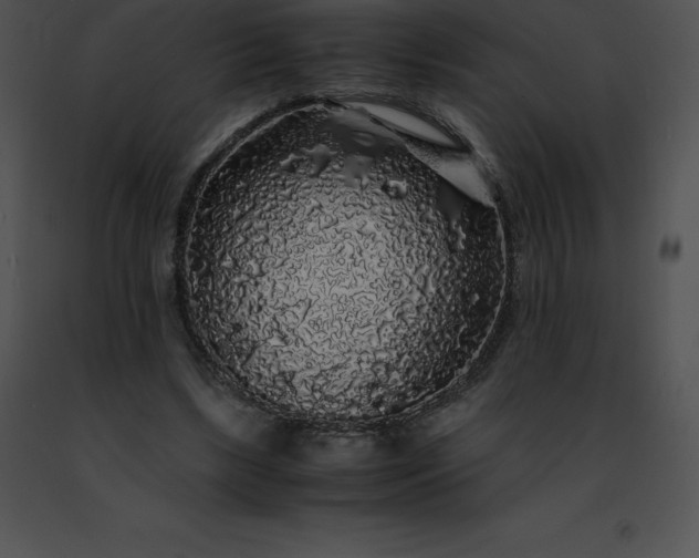 X0000091490443200708301939