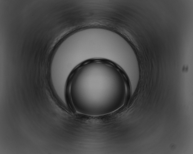 X0000091490444200708301939