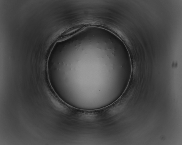 X0000091490445200708301939