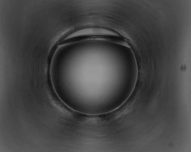 X0000091490446200708301939