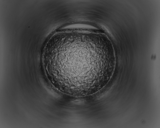 X0000091490447200708301939