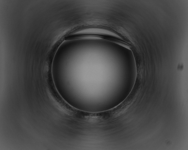 X0000091490448200708301939