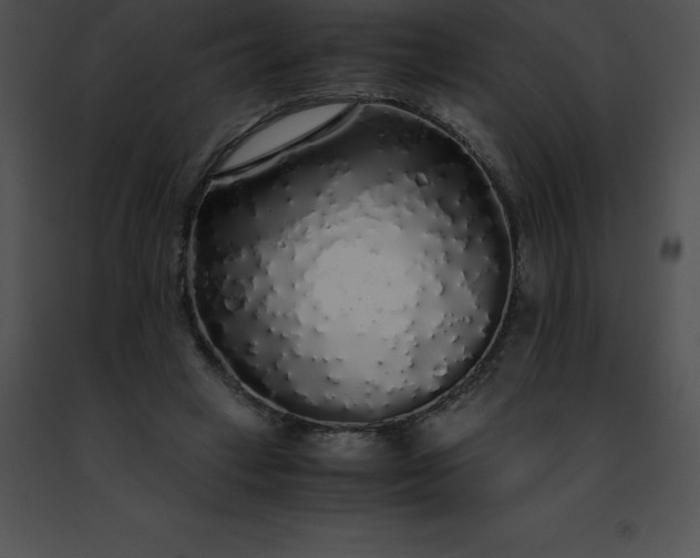 X0000091490449200708301939