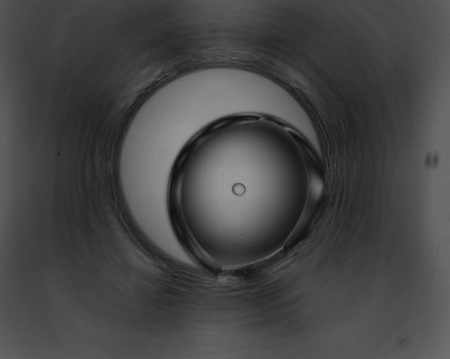 X0000091490452200708301939