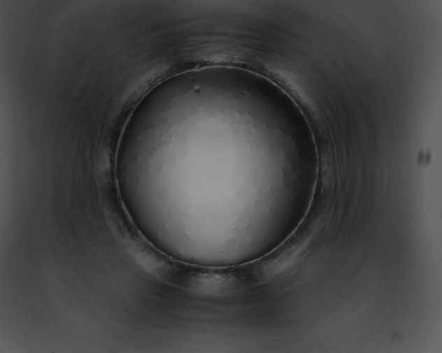 X0000091490453200708301939