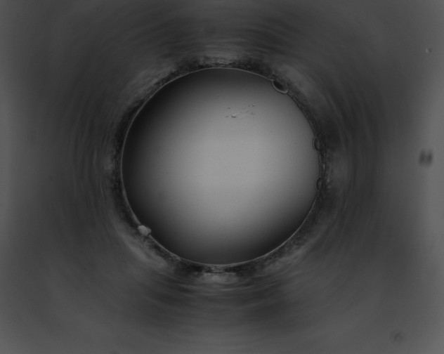 X0000091490455200708301939