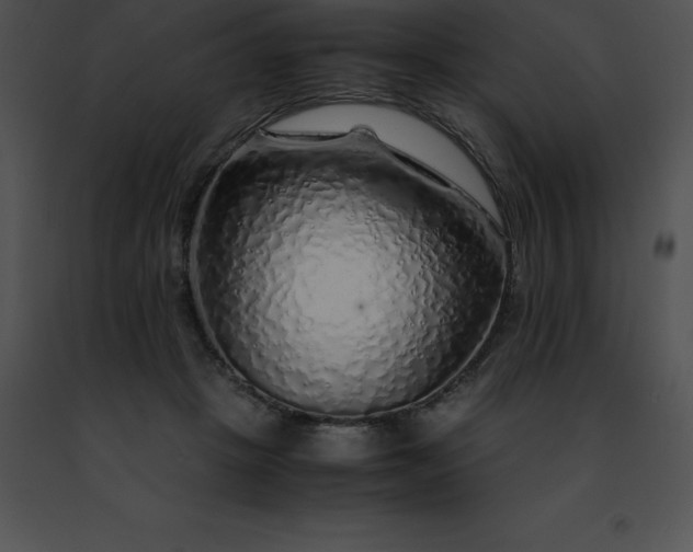 X0000091490457200708301939