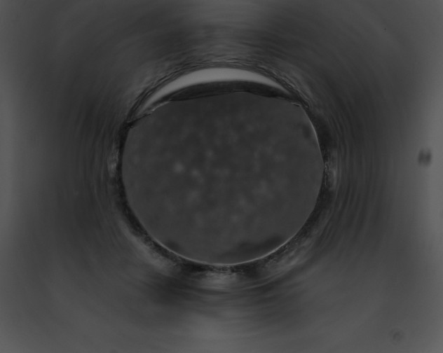 X0000091490458200708301939