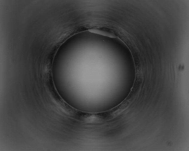 X0000091490460200708301939