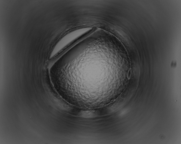 X0000091490461200708301939