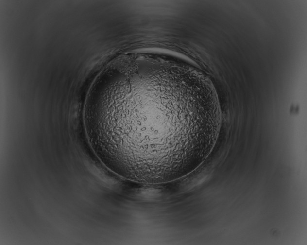 X0000091490462200708301939