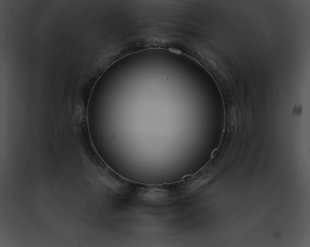 X0000091490463200708301939