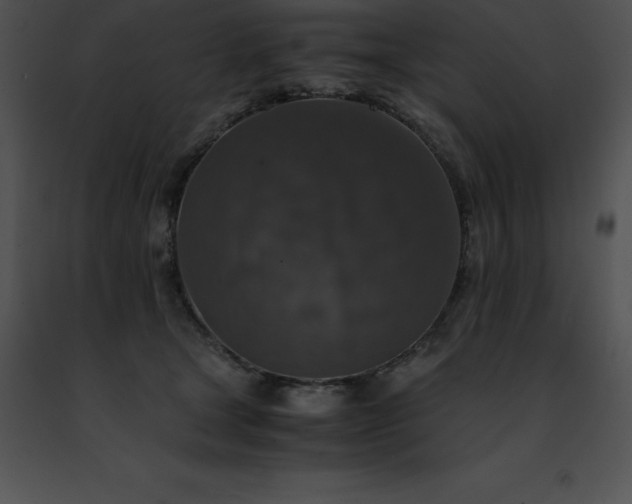 X0000091490465200708301939