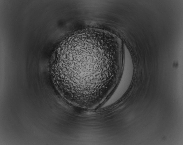 X0000091490466200708301939