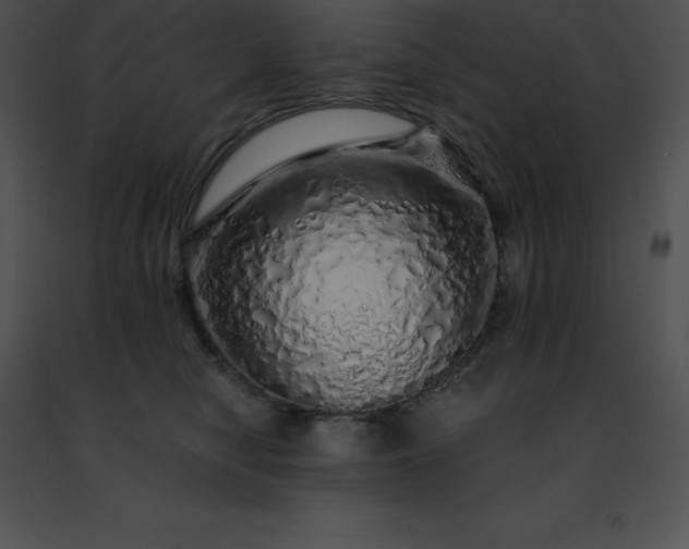 X0000091490470200708301940