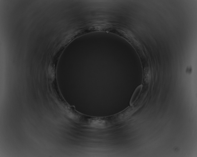 X0000091490471200708301940