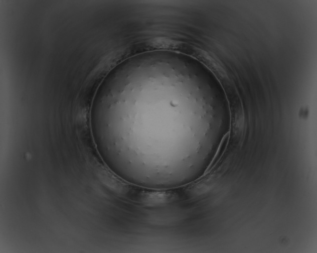 X0000091490473200708301940