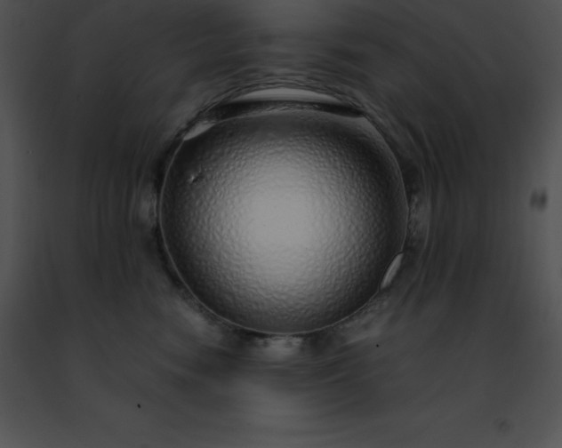 X0000091490474200708301940