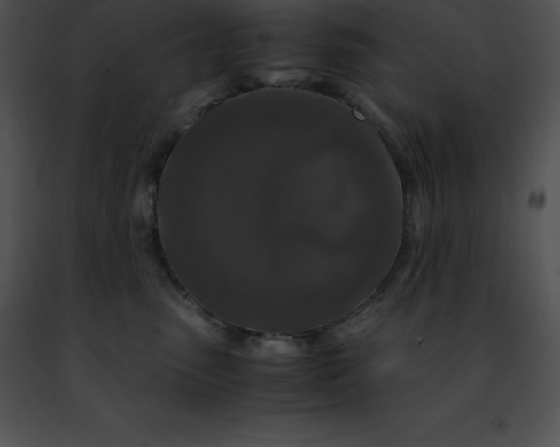 X0000091490475200708301940