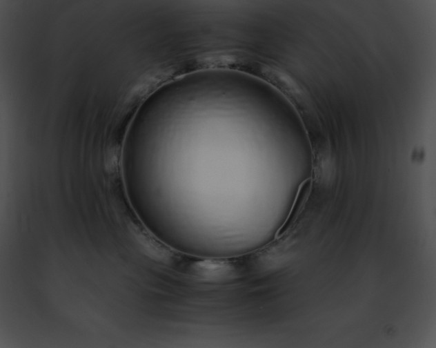 X0000091490477200708301940