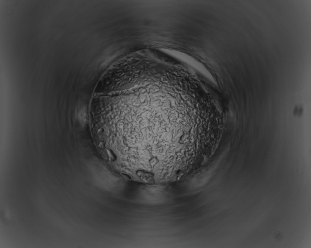 X0000091490479200708301940