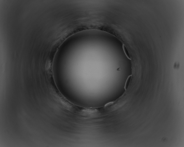 X0000091490480200708301940