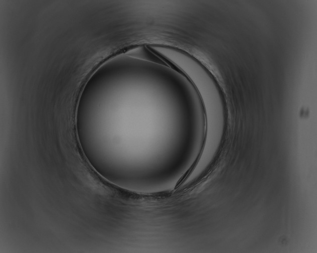 X0000091490481200708301939