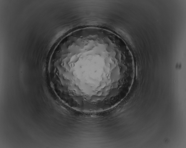 X0000091490483200708301939