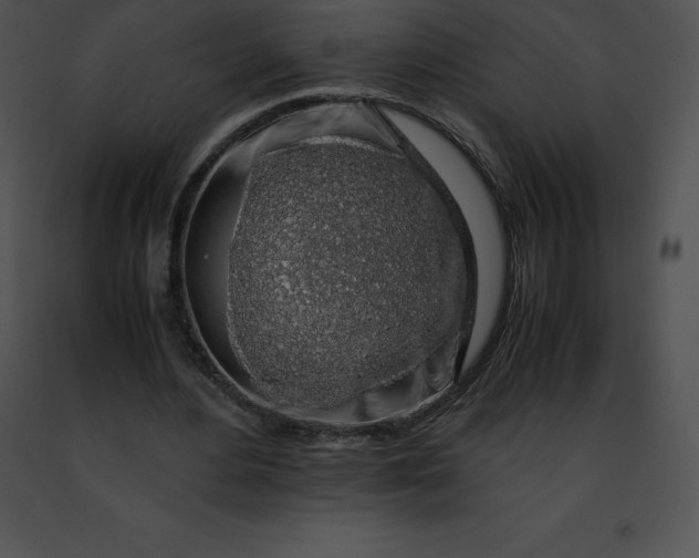 X0000091490484200708301939