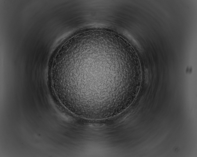 X0000091490486200708301939