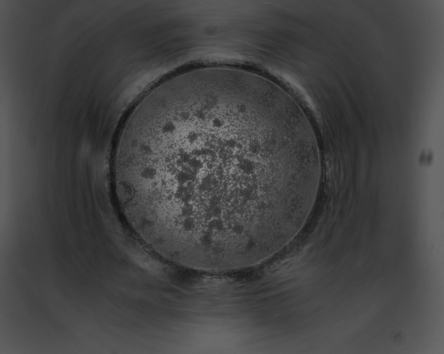 X0000091490487200708301939