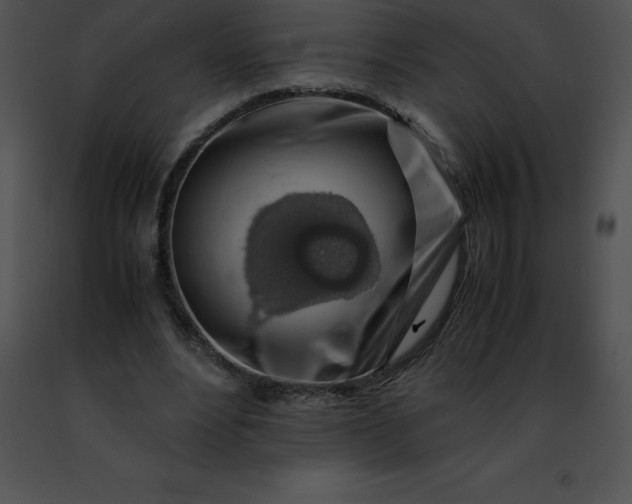 X0000091490488200708301939