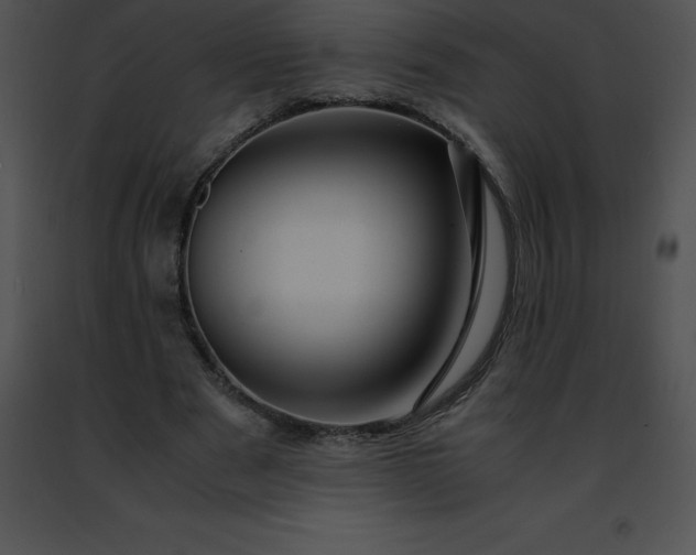 X0000091490489200708301939