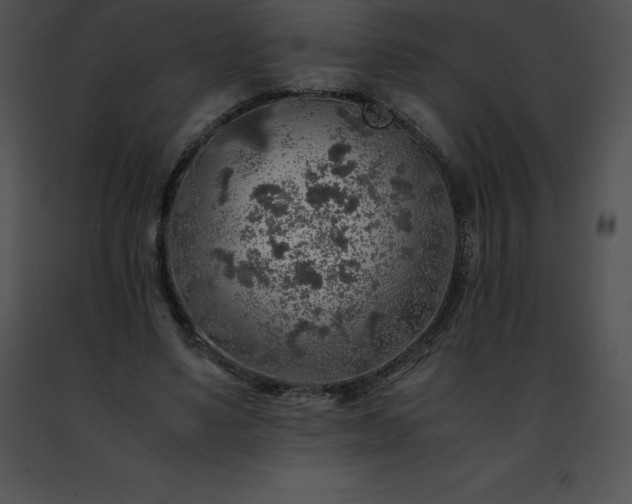 X0000091490491200708301939