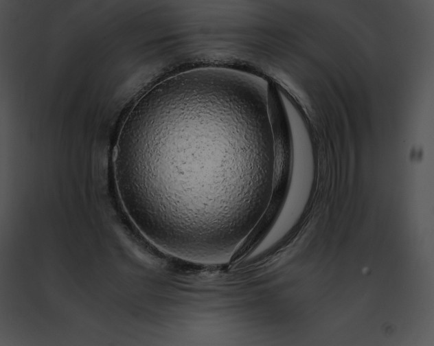 X0000091490493200708301939