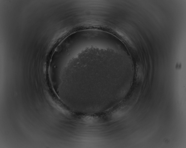 X0000091490494200708301939