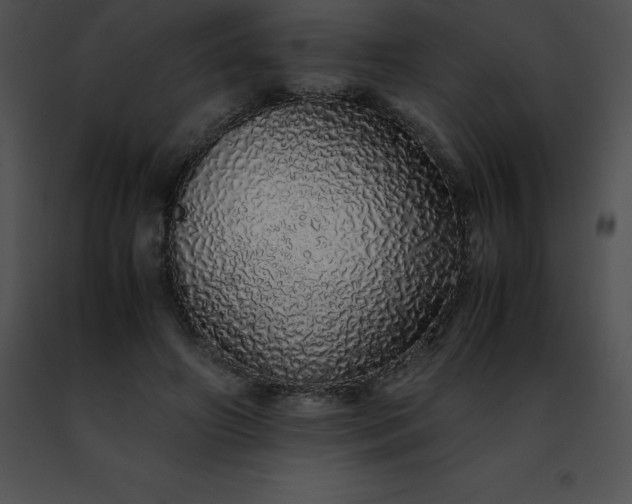 X0000091490498200708301939