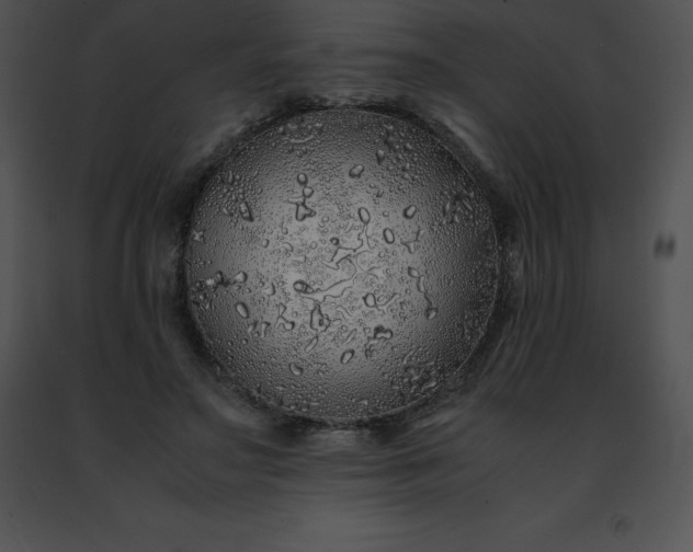 X0000091490499200708301939