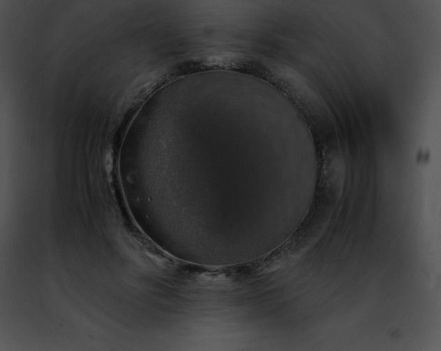 X0000091490502200708301939