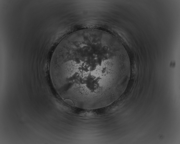 X0000091490503200708301939