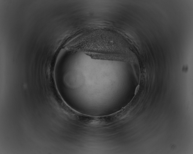 X0000091490504200708301939