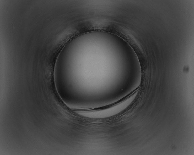 X0000091490505200708301939