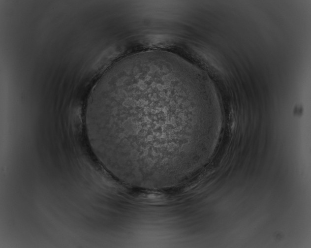 X0000091490506200708301939