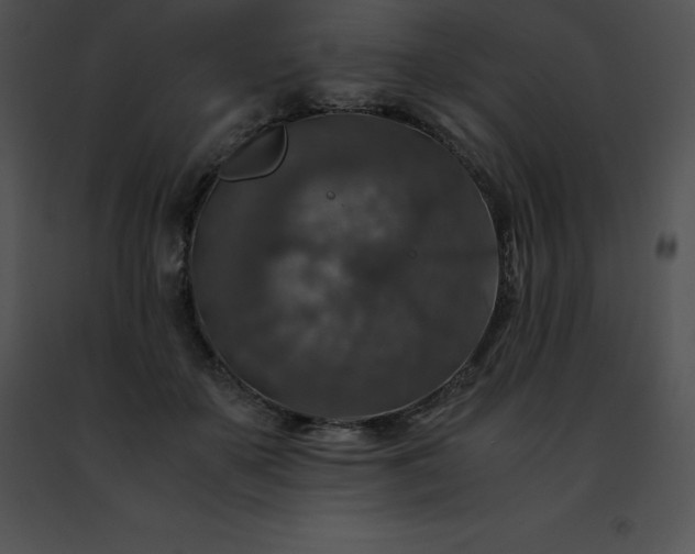 X0000091490507200708301939