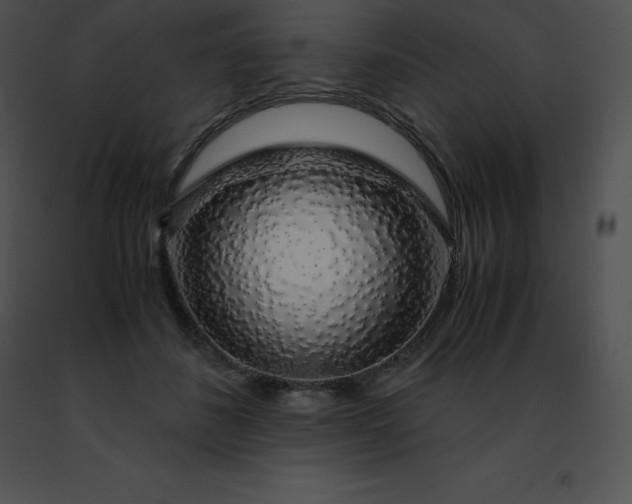 X0000091490508200708301939