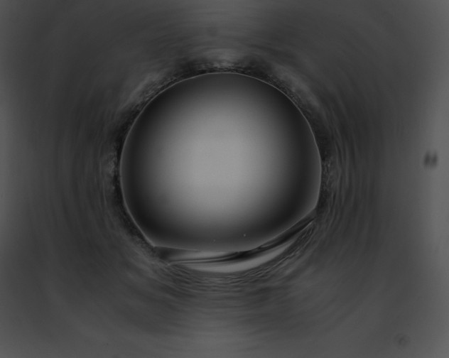 X0000091490509200708301939